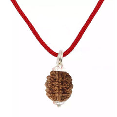 2 Mukhi Rudraksha Pendant (Nepal)