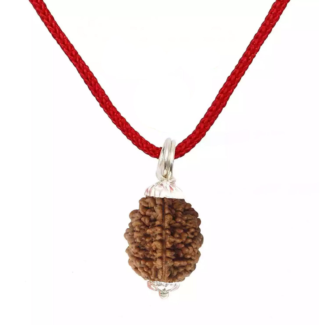 2 Mukhi Rudraksha Pendant (Nepal)